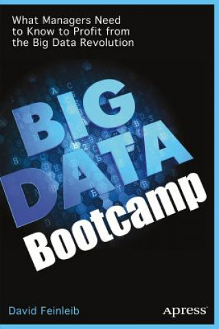 Kniha Big Data Bootcamp David Feinleib