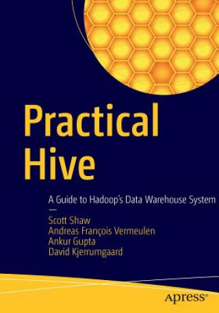 Kniha Practical Hive Scott Shaw