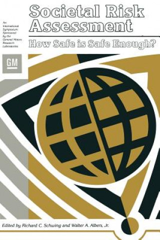 Книга Societal Risk Assessment Richard C. Schwing