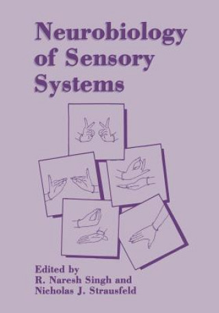 Kniha Neurobiology of Sensory Systems R. Naresh Singh