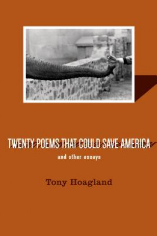 Kniha Twenty Poems That Could Save America And Other Essays Tony Hoagland