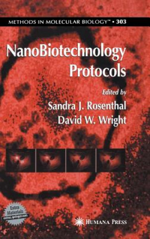 Könyv NanoBiotechnology Protocols Sandra J Rosenthal