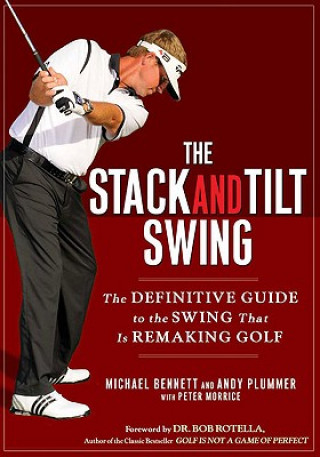 Kniha Stack and Tilt Swing Michael Bennett