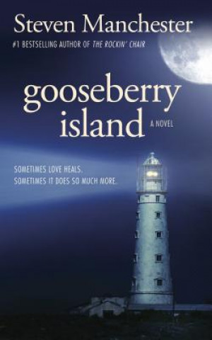 Buch Gooseberry Island Steven Manchester