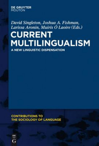 Kniha Current Multilingualism David Singleton