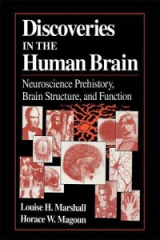 Buch Discoveries in the Human Brain Louise H. Marshall