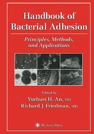 Kniha Handbook of Bacterial Adhesion Yuehuei H. An