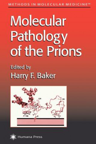 Buch Molecular Pathology of the Prions Harry F. Baker