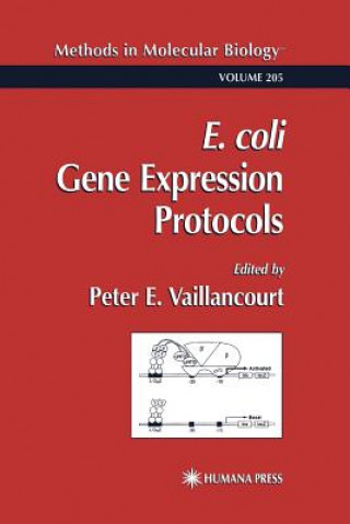 Könyv E. coli Gene Expression Protocols Peter E. Vaillancourt