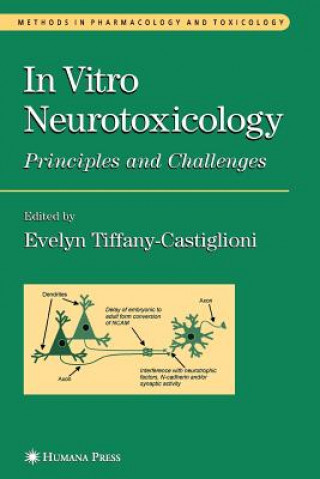 Carte In Vitro Neurotoxicology Evelyn Tiffany-Castiglioni