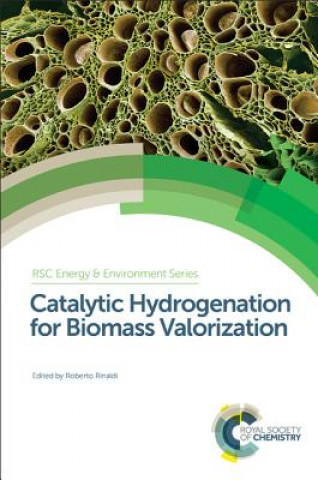 Könyv Catalytic Hydrogenation for Biomass Valorization Roberto Rinaldi