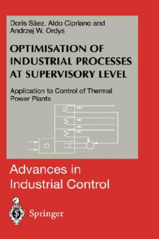 Könyv Optimisation of Industrial Processes at Supervisory Level Doris A. Saez