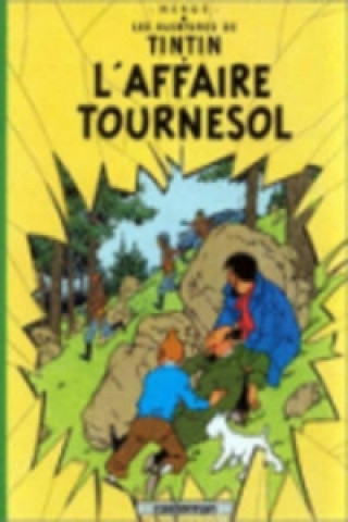 Kniha Les Aventures de Tintin - L' affaire Tournesol Hergé