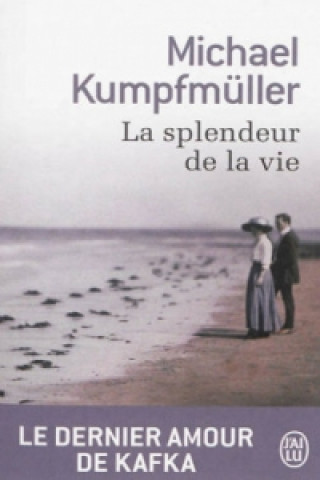 Buch La splendeur de la vie Michael Kumpfmüller