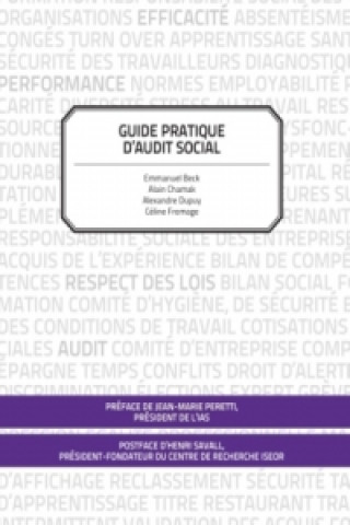 Könyv Guide Pratique d'Audit Social de Conformité Emmanuel Beck