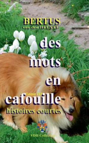 Buch Des mots en cafouille III Bertus Van den Heuvel