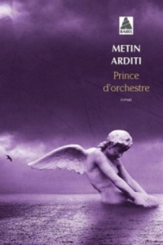 Kniha Prince d'orchestre Metin Arditi