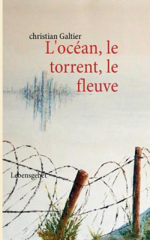 Könyv L'ocean, le torrent, le fleuve christian Galtier