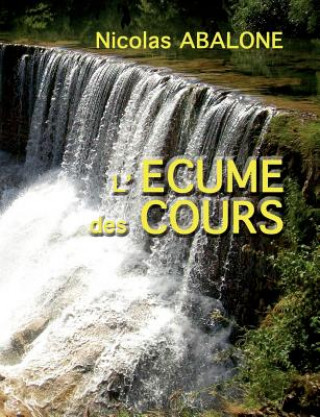 Book L'ecume des cours Nicolas Abalone