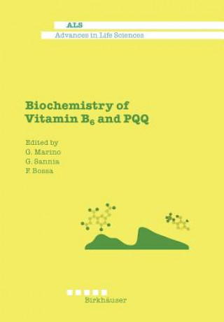 Kniha Biochemistry of Vitamin B6 and PQQ F. Bossa