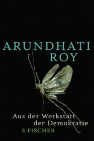 Könyv Aus der Werkstatt der Demokratie Arundhati Roy