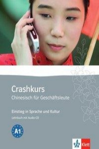 Könyv Crashkurs Chinesisch für Geschäftsleute, m. Audio-CD Ju Wang-Sommerer