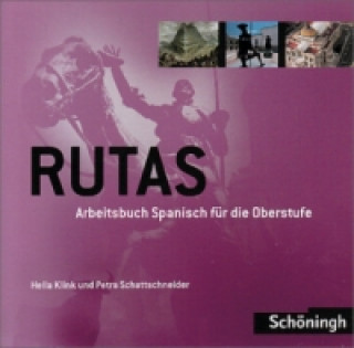 Audio 12./13. Schuljahr, Audio-CD + DVD, Audio-CD Hella Klink