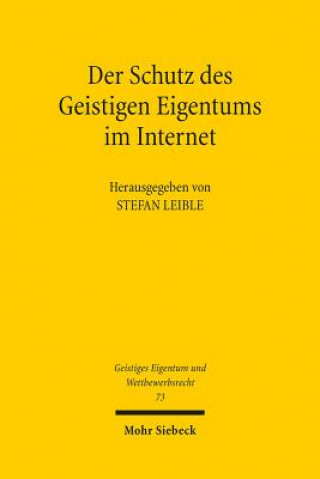 Könyv Der Schutz des Geistigen Eigentums im Internet Stefan Leible