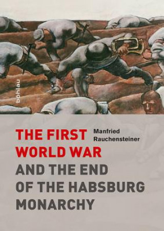 Könyv The First World War and the End of the Habsburg Monarchy Manfried Rauchensteiner