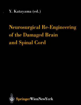 Könyv Neurosurgical Re-Engineering of the Damaged Brain and Spinal Cord Yoichi Katayama
