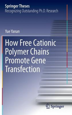 Kniha How Free Cationic Polymer Chains Promote Gene Transfection Yue Yanan