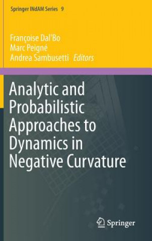 Buch Analytic and Probabilistic Approaches to Dynamics in Negative Curvature Françoise Dal'Bo