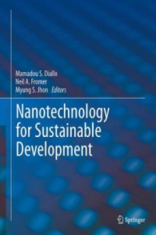 Książka Nanotechnology for Sustainable Development Mamadou S. Diallo