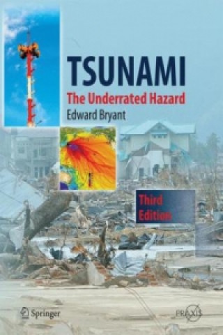 Libro Tsunami Edward Bryant