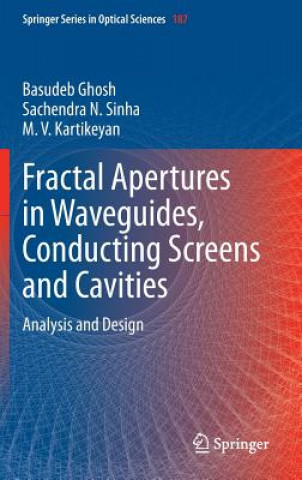 Könyv Fractal Apertures in Waveguides, Conducting Screens and Cavities Basudeb Ghosh