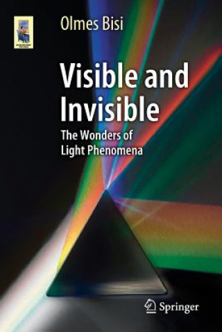 Book Visible and Invisible Olmes Bisi