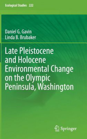 Könyv Late Pleistocene and Holocene Environmental Change on the Olympic Peninsula, Washington Daniel Gavin
