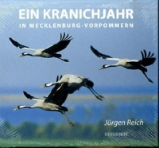 Kniha Ein Kranichjahr in Mecklenburg-Vorpommern Jürgen Reich
