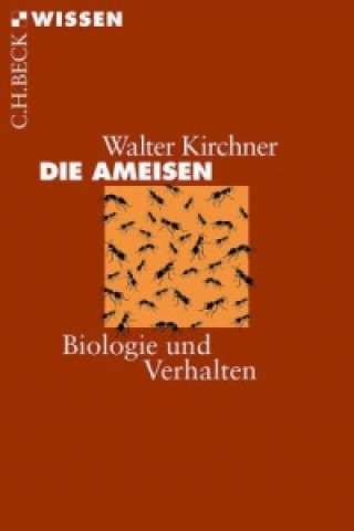 Könyv Die Ameisen Walter Kirchner