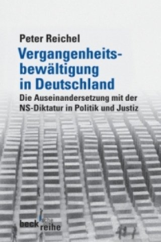 Könyv Vergangenheitsbewältigung in Deutschland Peter Reichel