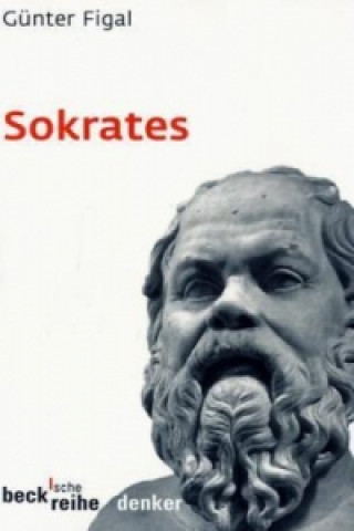 Kniha Sokrates Günter Figal
