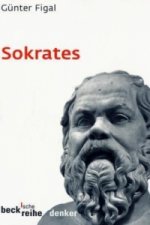 Carte Sokrates Günter Figal