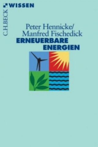 Kniha Erneuerbare Energien Peter Hennicke