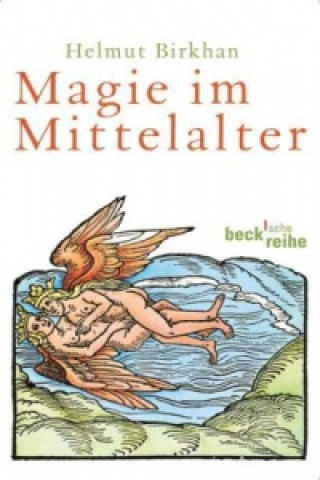 Kniha Magie im Mittelalter Helmut Birkhan