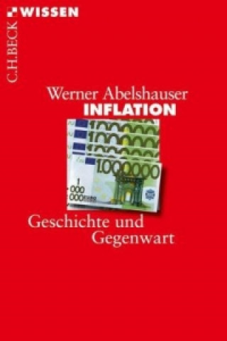 Livre Inflation Werner Abelshauser