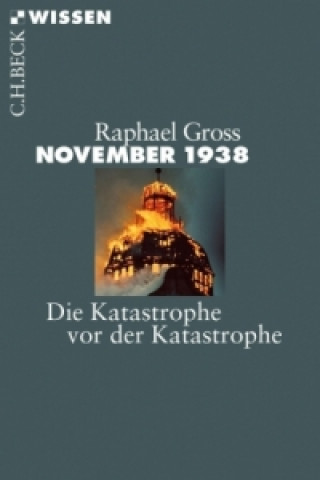 Книга November 1938 Raphael Gross
