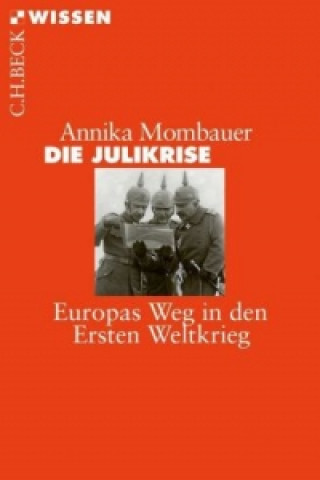 Carte Die Julikrise  Europas Weg in den Ersten Weltkrieg Annika Mombauer