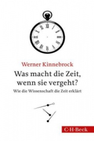 Kniha Was macht die Zeit, wenn sie vergeht? Werner Kinnebrock