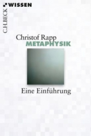 Knjiga Metaphysik Christof Rapp