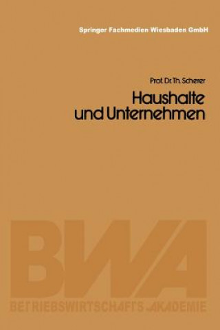 Kniha Haushalte Und Unternehmen Theo Scherer